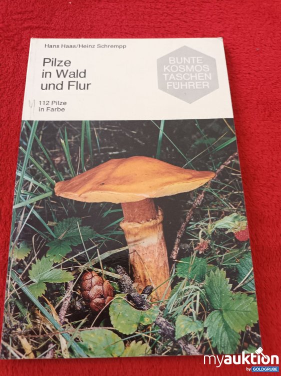 Artikel Nr. 937448 Artikel Nr. 937448: Pilze in Wald und Flur