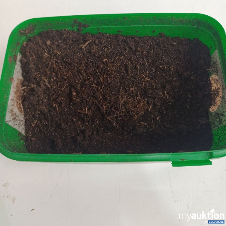 Artikel Nr. 983450: Worm Welcome Wurmkiste mit 500 Würmer, Baby-Würmer und Kokons