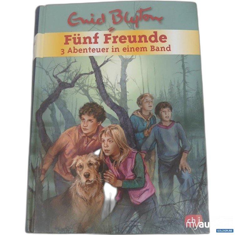 Artikel Nr. 984450 Artikel Nr. 984450: Enid Blyton Fünf Freunde 3 Abenteuer in einem Band