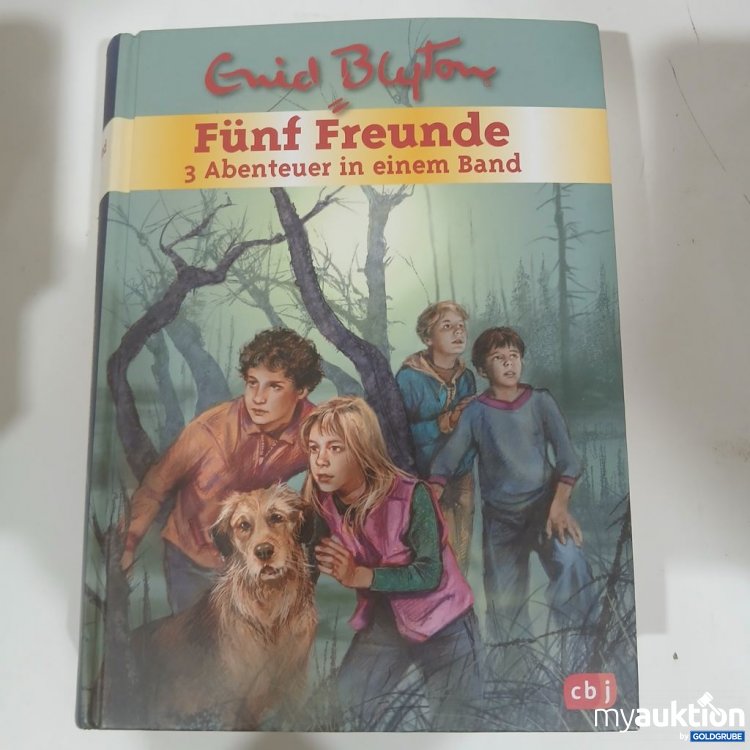 Artikel Nr. 984450 Artikel Nr. 984450: Enid Blyton Fünf Freunde 3 Abenteuer in einem Band