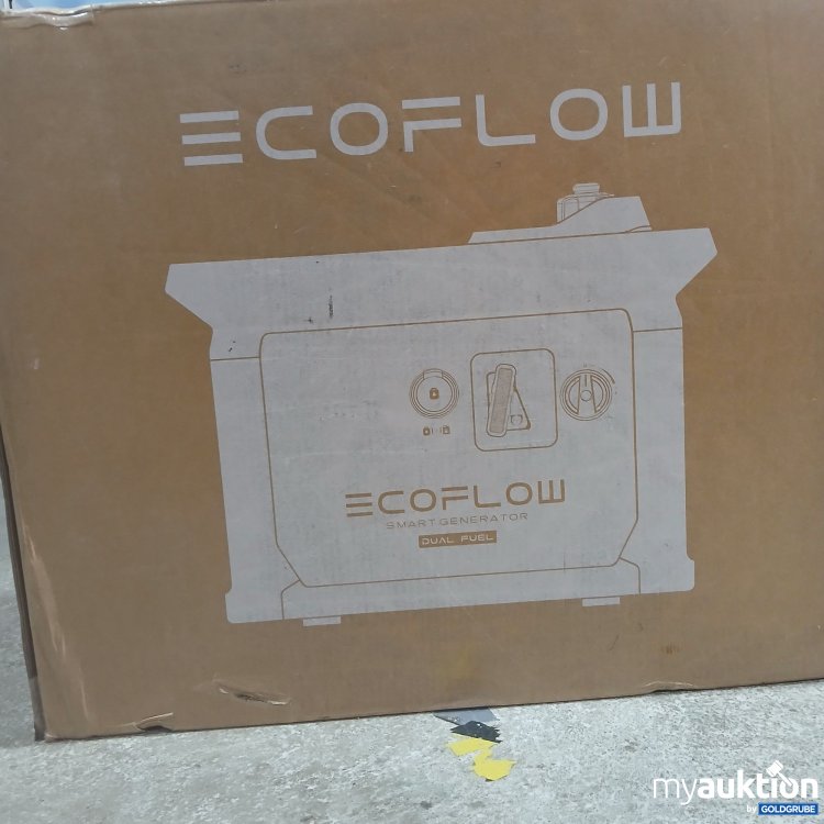 Artikel Nr. 428452 Artikel Nr. 428452: Ecoflow Smart Generator Dual Fuel EFG200