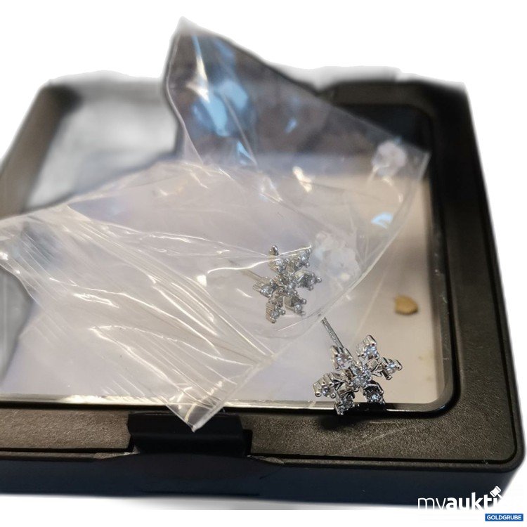 Artikel Nr. 893456: Ohrstecker 