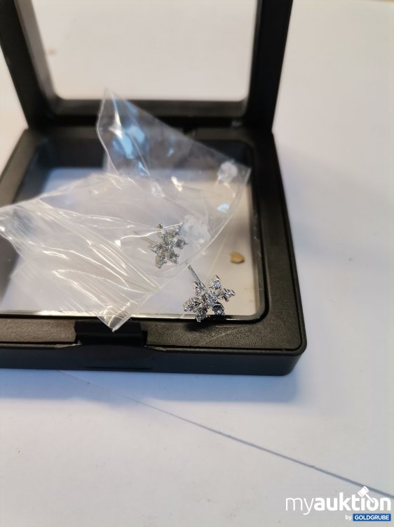 Artikel Nr. 893456: Ohrstecker 