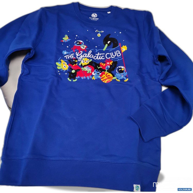 Artikel Nr. 728459: Kurzgesagt Sweater