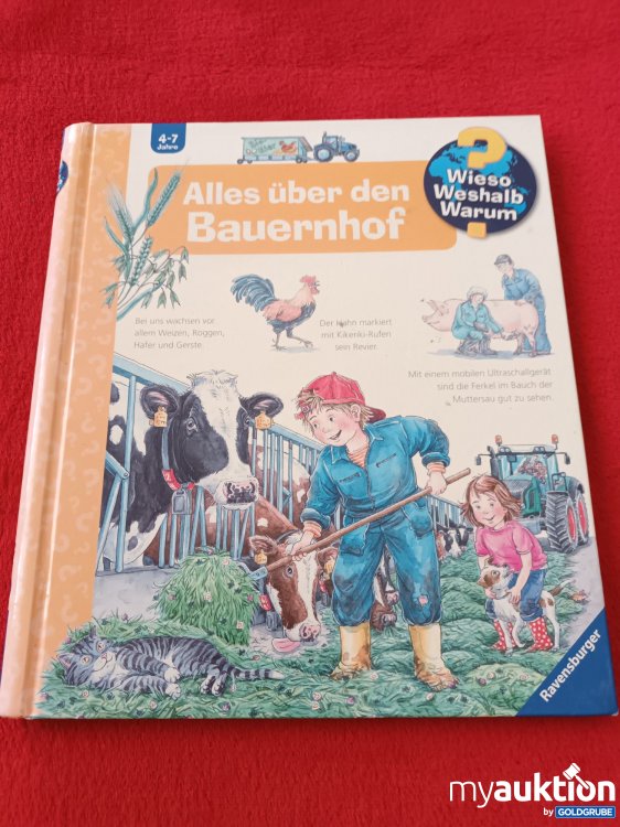 Artikel Nr. 927460 Artikel Nr. 927460: Großes Wieso, Weshalb, Warum Buch