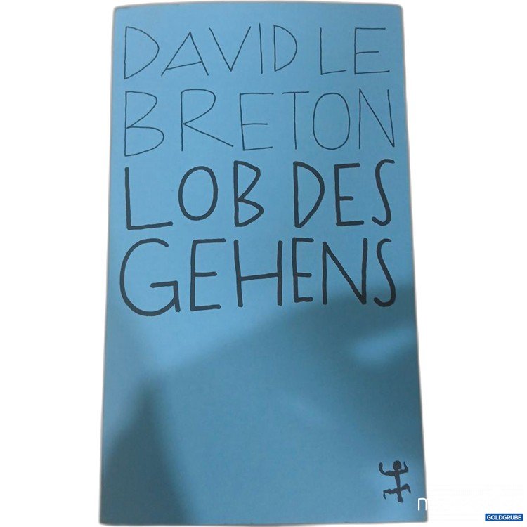 Artikel Nr. 984460 Artikel Nr. 984460: David Le Breton Lob des Gehens