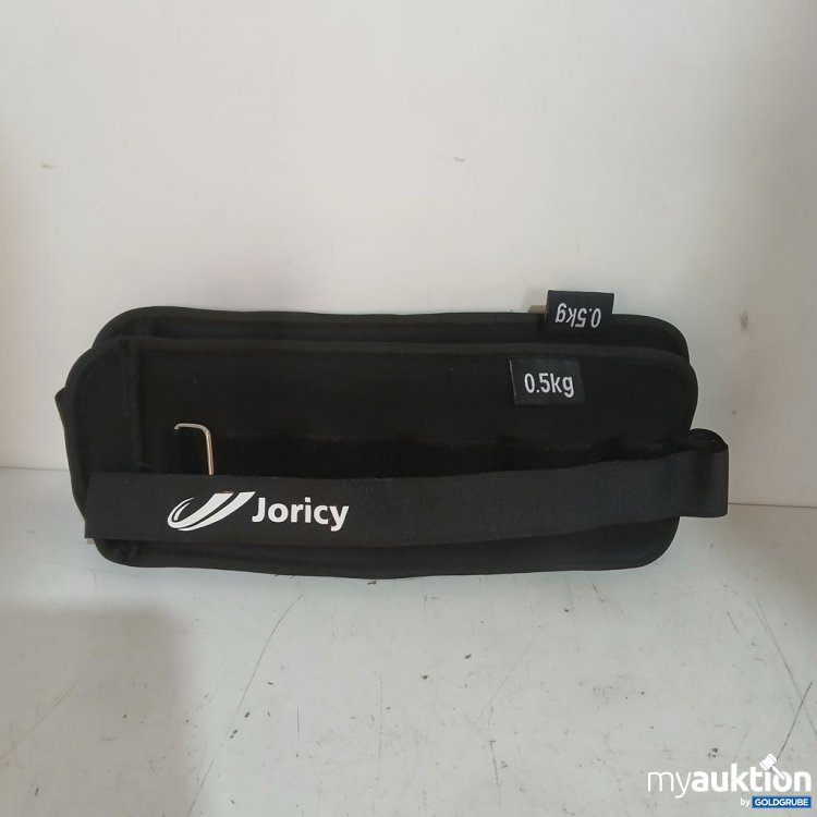 Artikel Nr. 934461: Joricy Gewichtsbeutel 0.5 kg