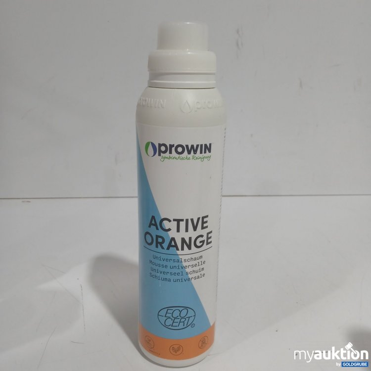 Artikel Nr. 477463 Artikel Nr. 477463: proWIN Active Orange Universalschaum 1L