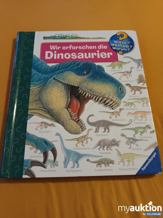 Artikel Nr. 900469: Großes Wieso, Weshalb, Warum Buch