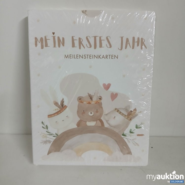 Artikel Nr. 819471 Artikel Nr. 819471: Eulentaler Mein erstes Jahr Meilensteinkarten