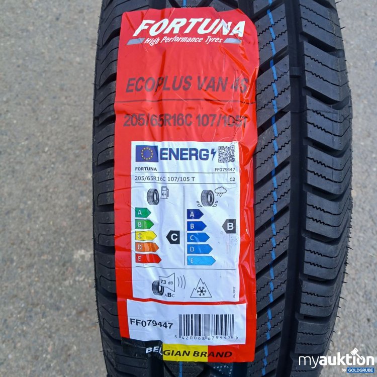 Artikel Nr. 523472: Fortuna Ecoplus Van 205/65 R16