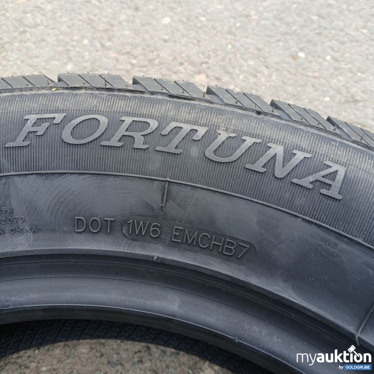 Artikel Nr. 523472: Fortuna Ecoplus Van 205/65 R16