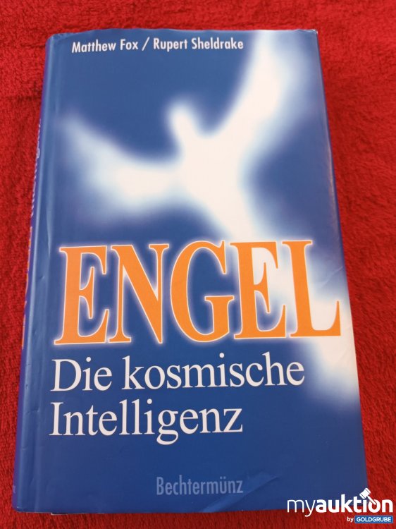 Artikel Nr. 923475: ENGEL, Die kosmische Intelligenz 