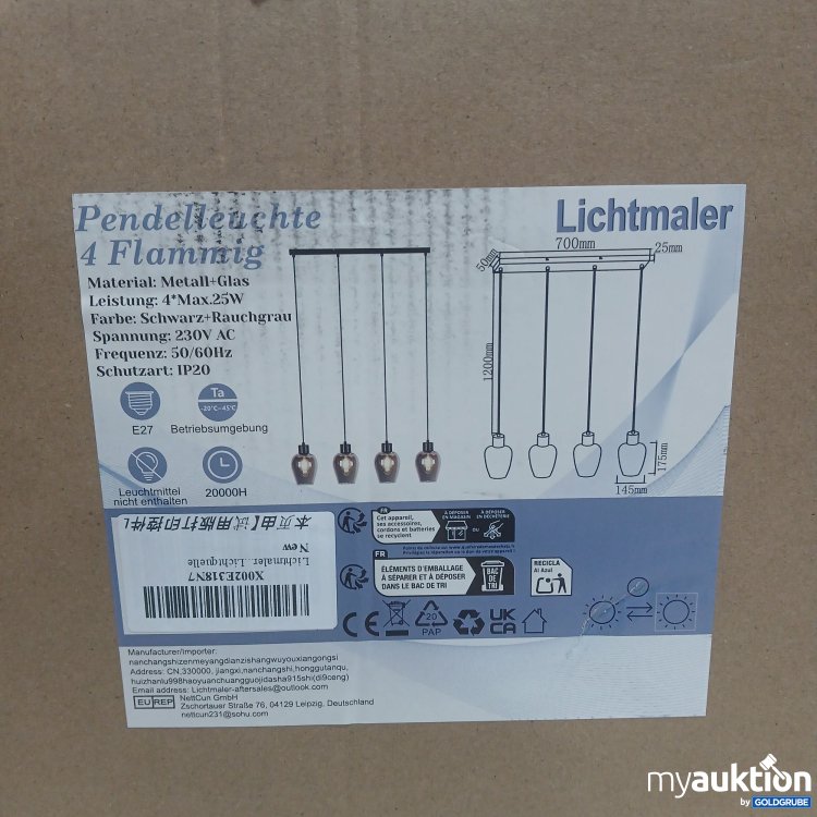 Artikel Nr. 971478: Lichtmaler Pendelleuchte 4 Flammig