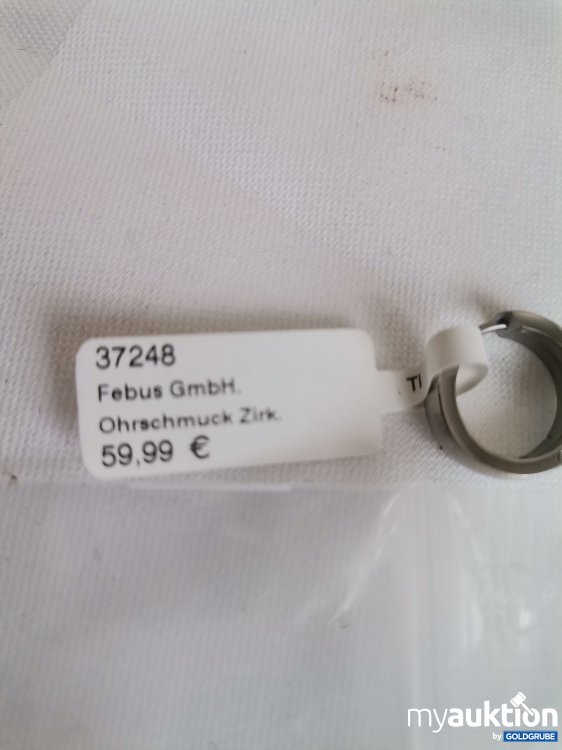 Artikel Nr. 988480 Artikel Nr. 988480: Creolen Titanium