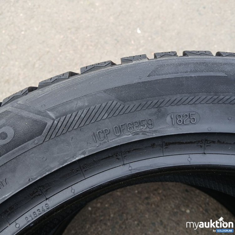 Artikel Nr. 523484: Barum Polaris 6 205/55 R17 XL