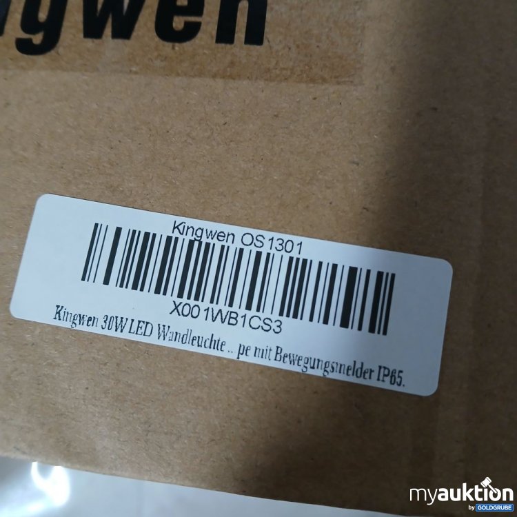 Artikel Nr. 918490 Artikel Nr. 918490: Kingwen OS 1301 Wandleuchte