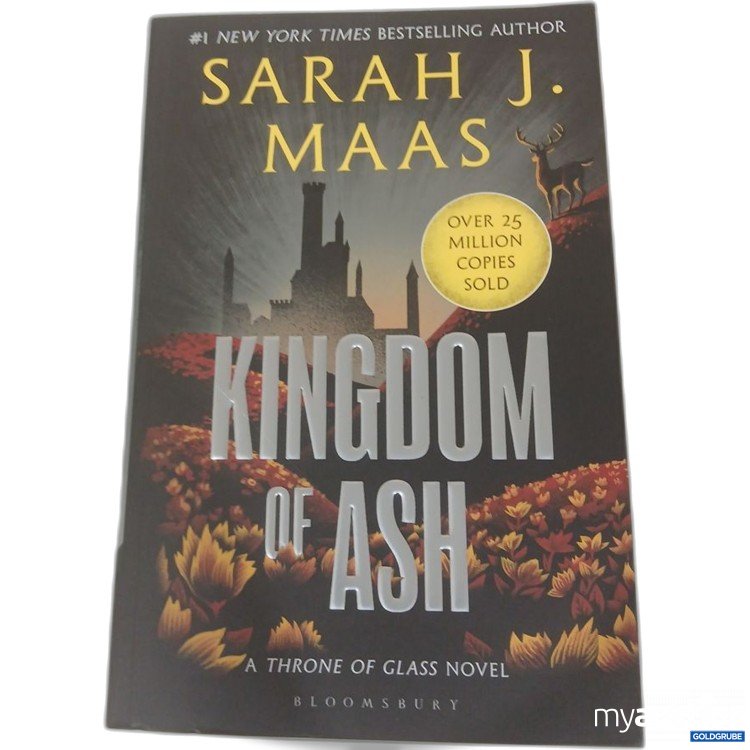Artikel Nr. 984491 Artikel Nr. 984491: Sarah J. Maas Kingdom of Ash A Throne Glass Novel
