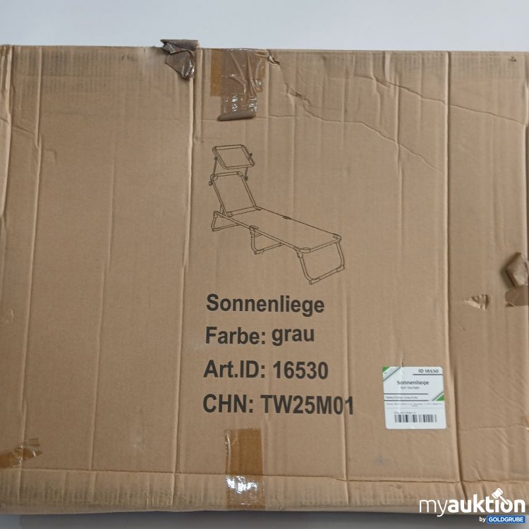 Artikel Nr. 441495: Sonnenliege grau