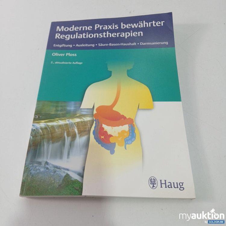 Artikel Nr. 802495: Regulationstherapien Praxisbuch