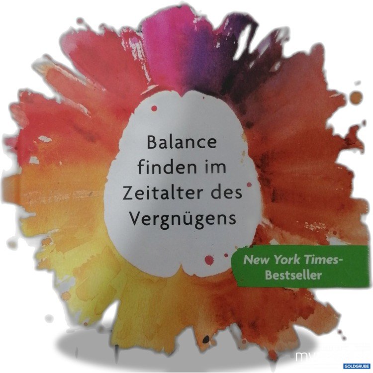 Artikel Nr. 892499: Dr. Anna Lembke Die Dopamin 