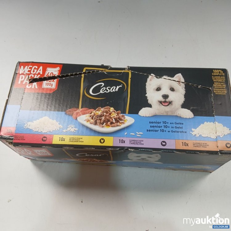 Artikel Nr. 973502: Cesar Senior 10+ in Gelee Mega Pack 40x100g