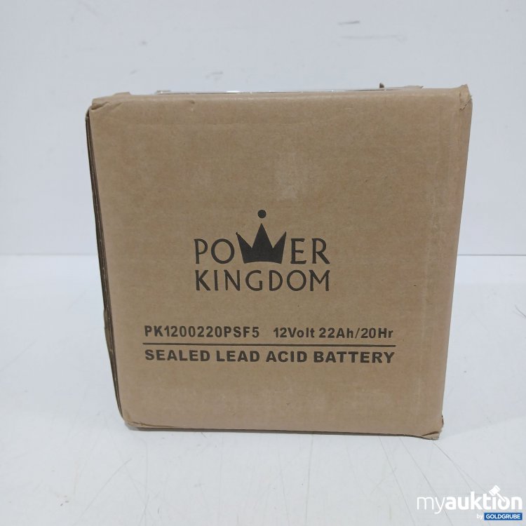 Artikel Nr. 997502: Power Kingdom Sealed lead Acid Battery 12volt 22 Ah 