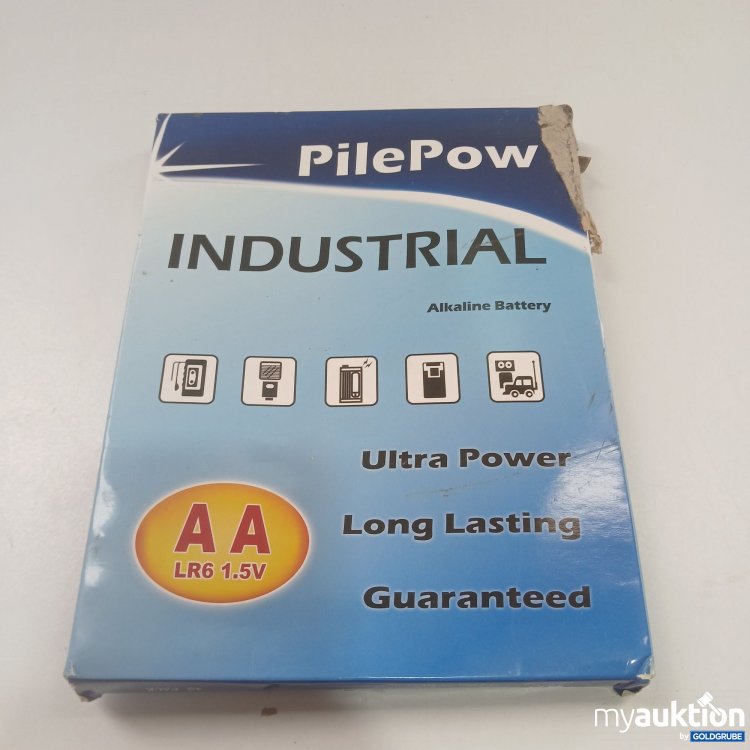 Artikel Nr. 861504: PilePow Industrial Alkaline Battery AA LR6