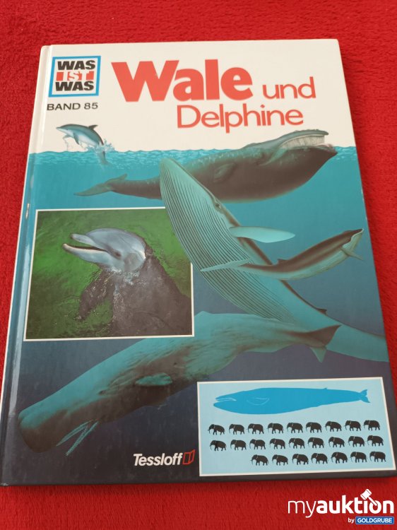 Artikel Nr. 937504 Artikel Nr. 937504: Was ist Was