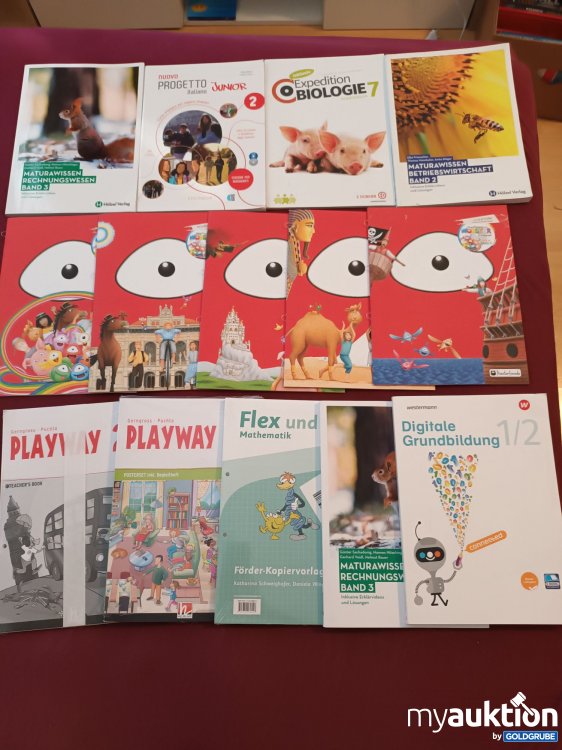 Artikel Nr. 999504 Artikel Nr. 999504: Großes Schulbücher Set