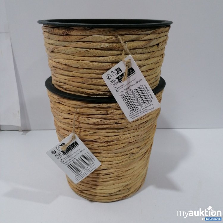 Artikel Nr. 889505: Scheurich Pflanzentopf 24cm 2Stk