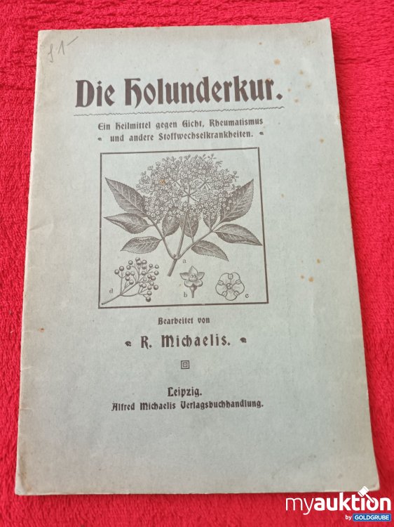 Artikel Nr. 927506 Artikel Nr. 927506: Die Holunderkur