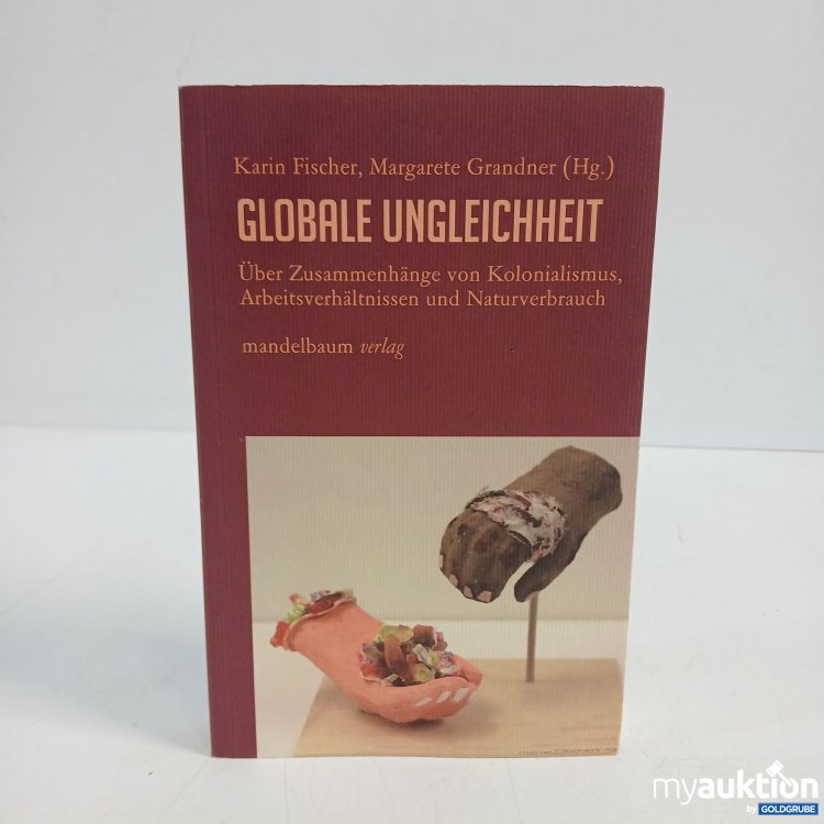 Artikel Nr. 872507 Artikel Nr. 872507: Globale Ungleichheit Buch