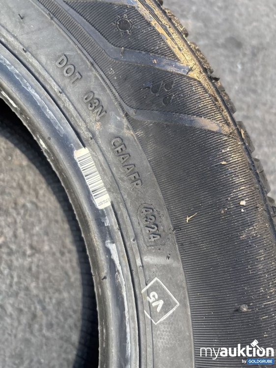 Artikel Nr. 442510: CEAT Season Drive 195/60 R15