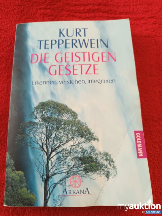 Artikel Nr. 923510: Die geistigen Gesetze
