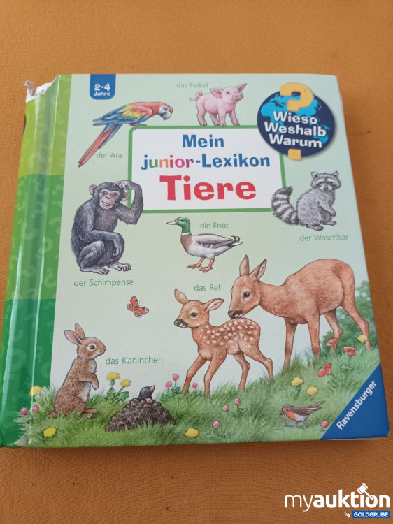 Artikel Nr. 901511: Kleines Wieso, Weshalb, Warum Buch