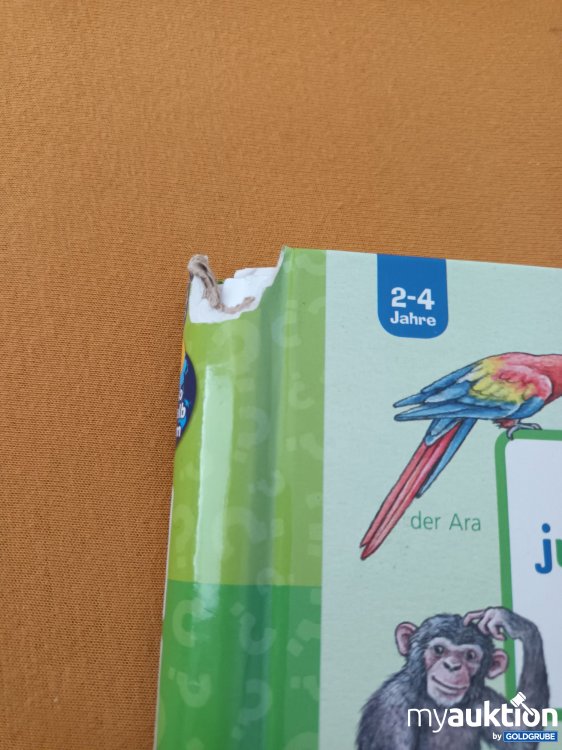 Artikel Nr. 901511: Kleines Wieso, Weshalb, Warum Buch