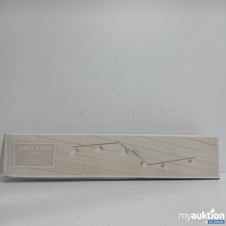Artikel Nr. 977518 Artikel Nr. 977518: James Wood Interior Elke Strahler 216x17cm