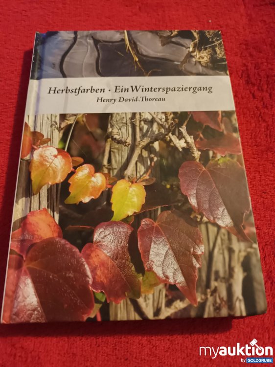 Artikel Nr. 907519: Buch, Herbstfarben - ein Winterspaziergang