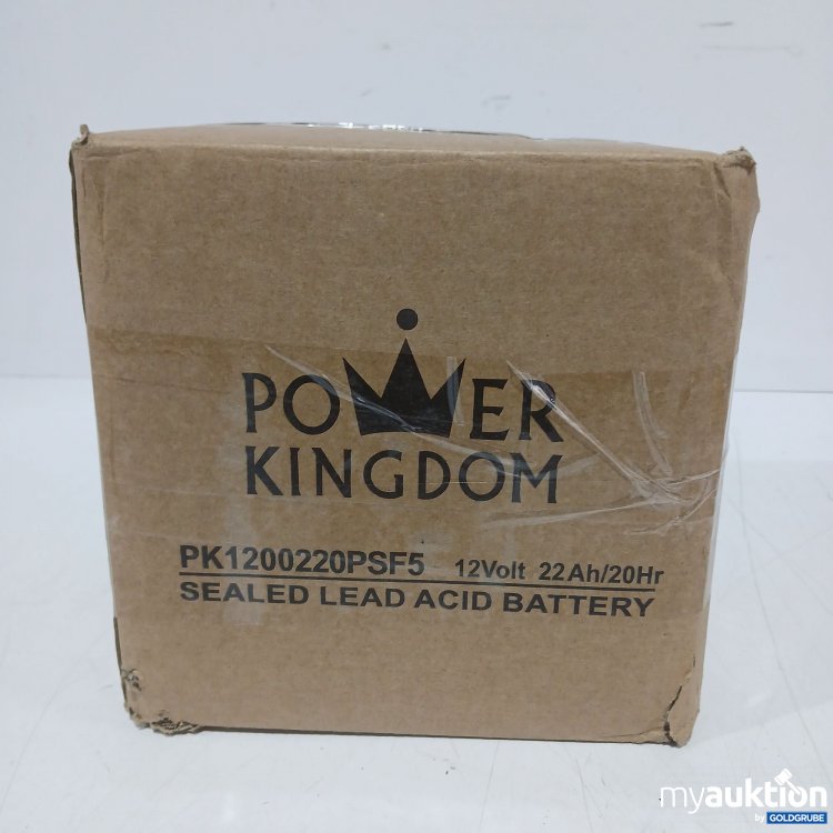 Artikel Nr. 997519: Power Kingdom Sealed lead Acid Battery 12volt 22 Ah 