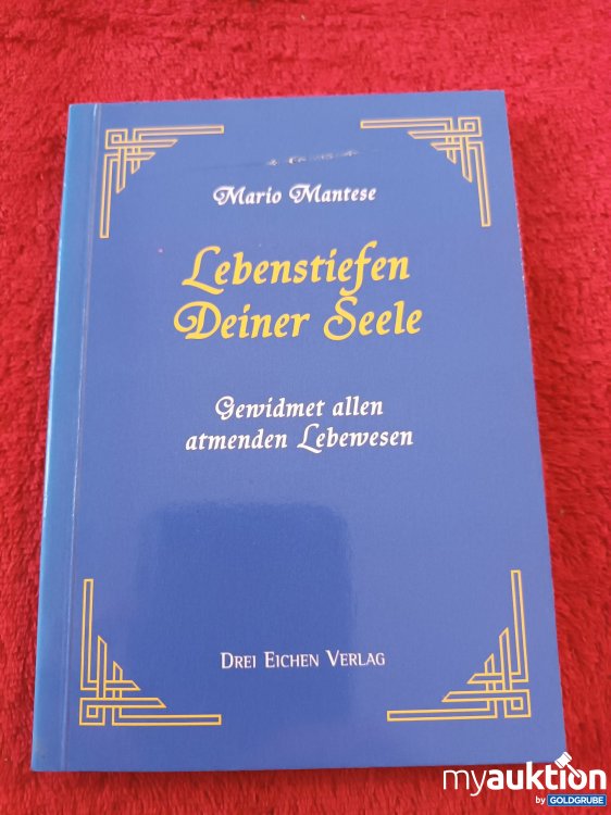 Artikel Nr. 923520: Lebenstiefen Deiner Seele 