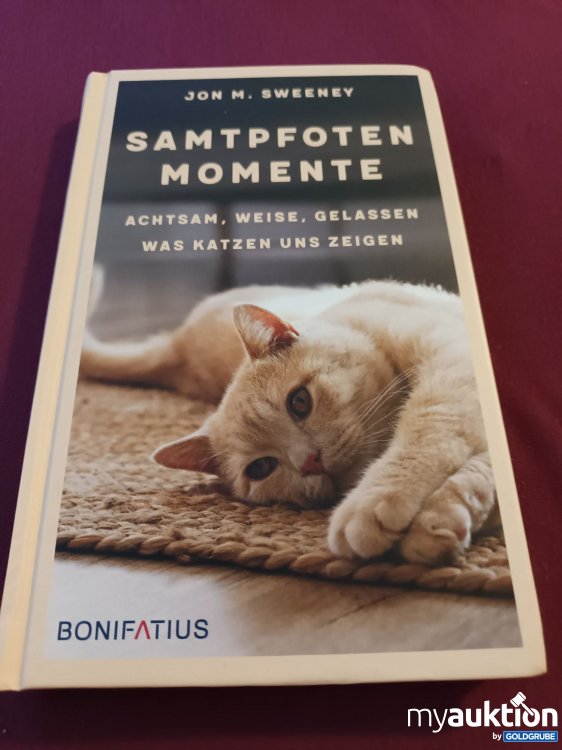Artikel Nr. 999520 Artikel Nr. 999520: Samtpfoten Momente