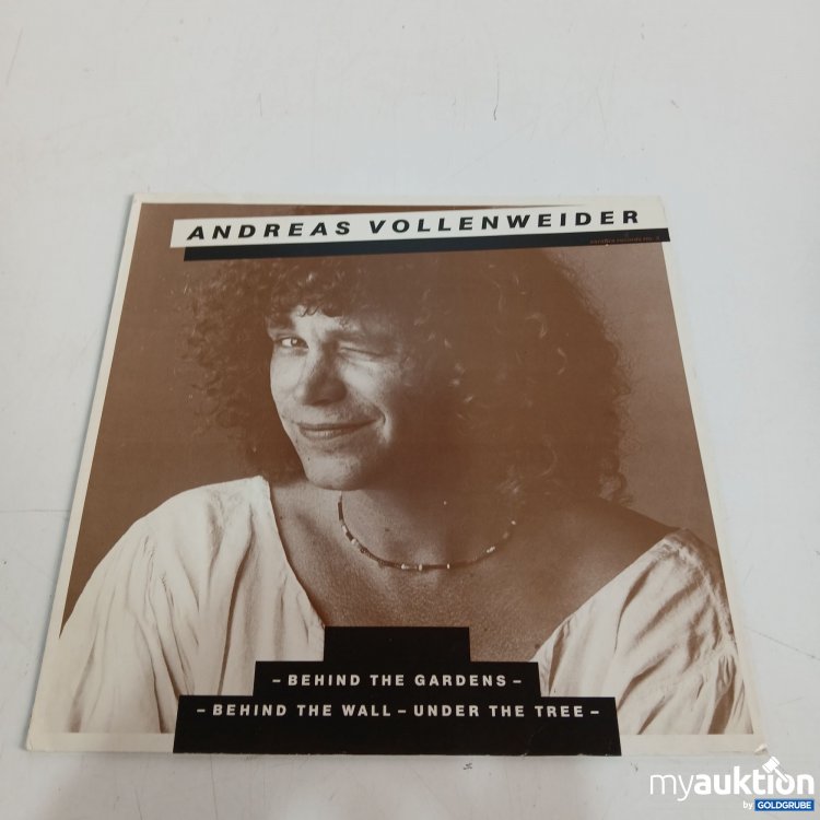 Artikel Nr. 872521: Musikalbum von Andreas Vollenweider