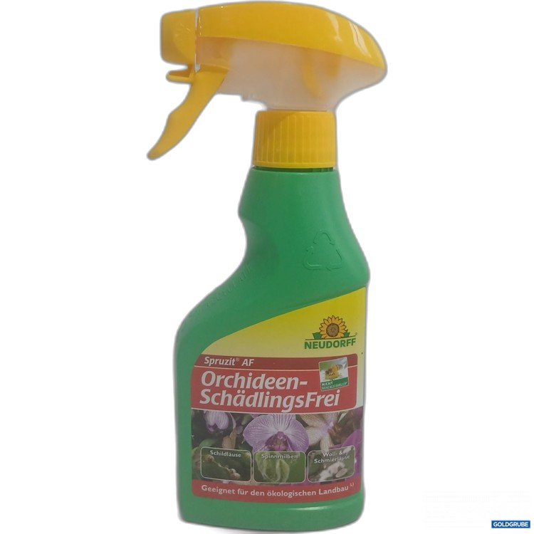 Artikel Nr. 990521 Artikel Nr. 990521: Neudorff Spruzit AF Orchideen SchädlingsFrei 250ml
