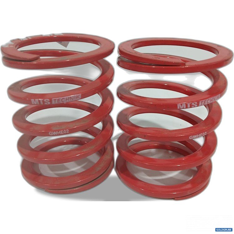 Artikel Nr. 914522: MTS Technik Federn GWHE02 