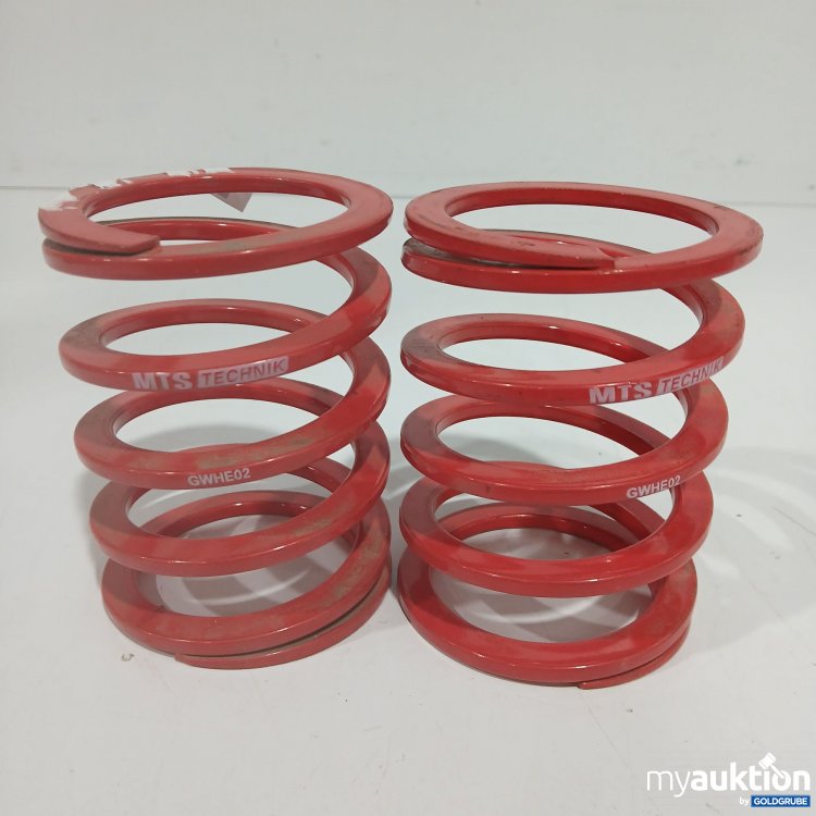 Artikel Nr. 914522: MTS Technik Federn GWHE02 