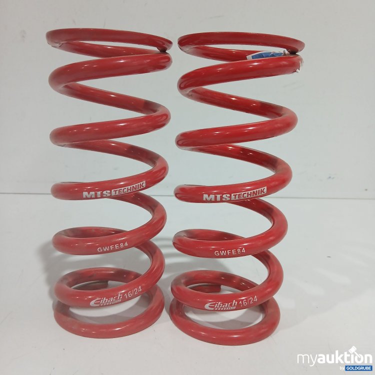 Artikel Nr. 914523: MTS Technik Eibach Federn GWFE84 16/24 