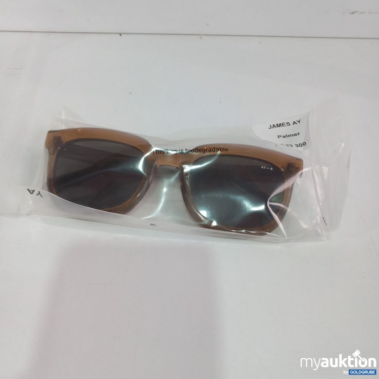 Artikel Nr. 521524 Artikel Nr. 521524: James Ay C23 300 Damensonnenbrille braun