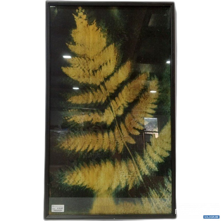 Artikel Nr. 911526: Wandpaneel Loro Varenbald Zwart/Goudkleurig 100cm, Art.No. 109338