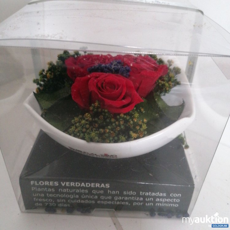 Artikel Nr. 819527 Artikel Nr. 819527: Smeraldino Preserved Flowers
